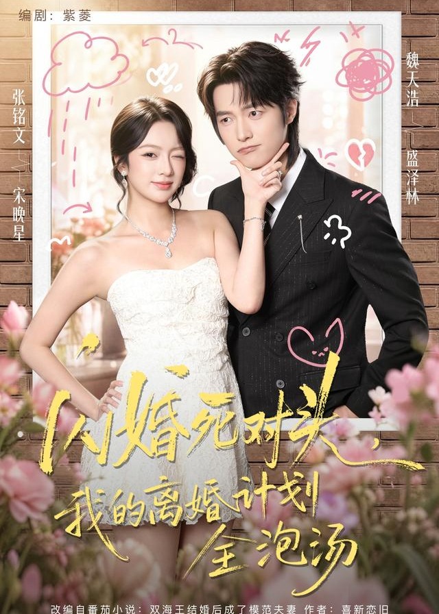 闪婚死对头我的离婚计划全泡汤-都市言情