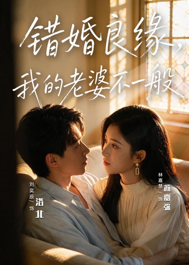 错婚良缘我的老婆不一般-都市言情海报